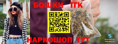 индика Шахты