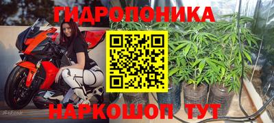 индика Шахты