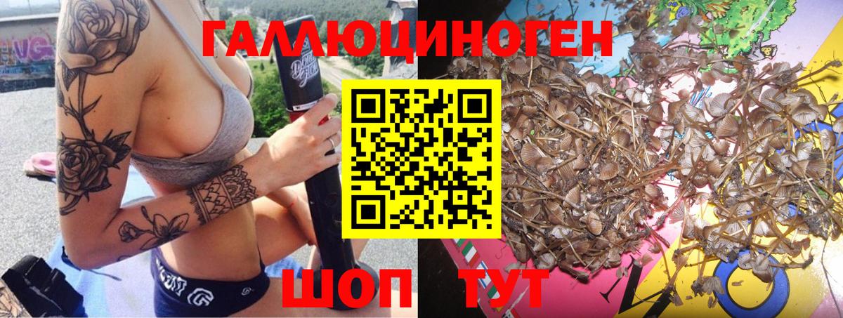 Псилоцибиновые грибы MAGIC MUSHROOMS  Галлюциногенные грибы ЛСД  Вход с VPN  Магнитогорск 